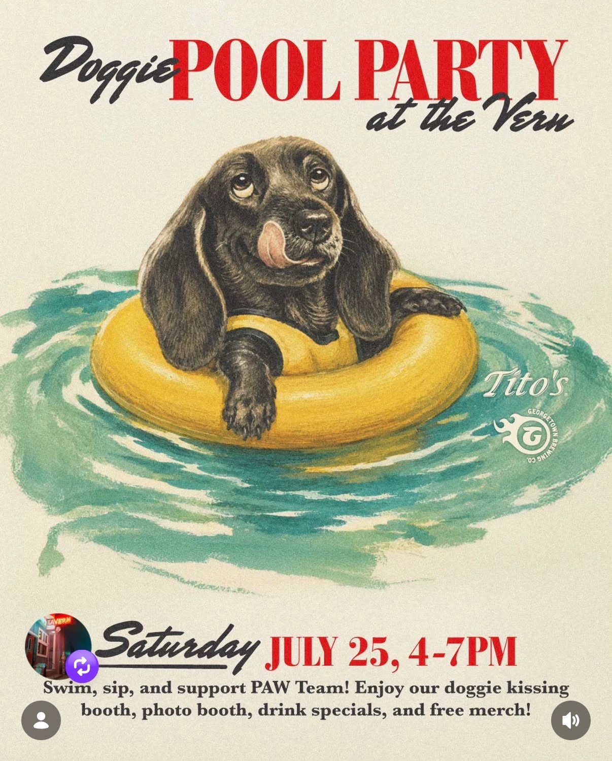 Doggie Pool Party at the Vern cover