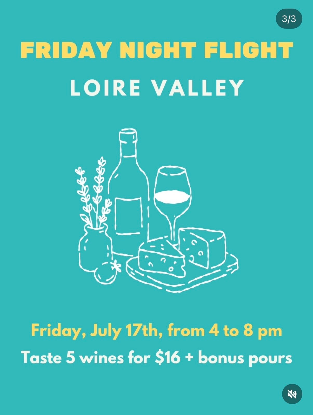 Friday Night Flight: Loire Valley cover