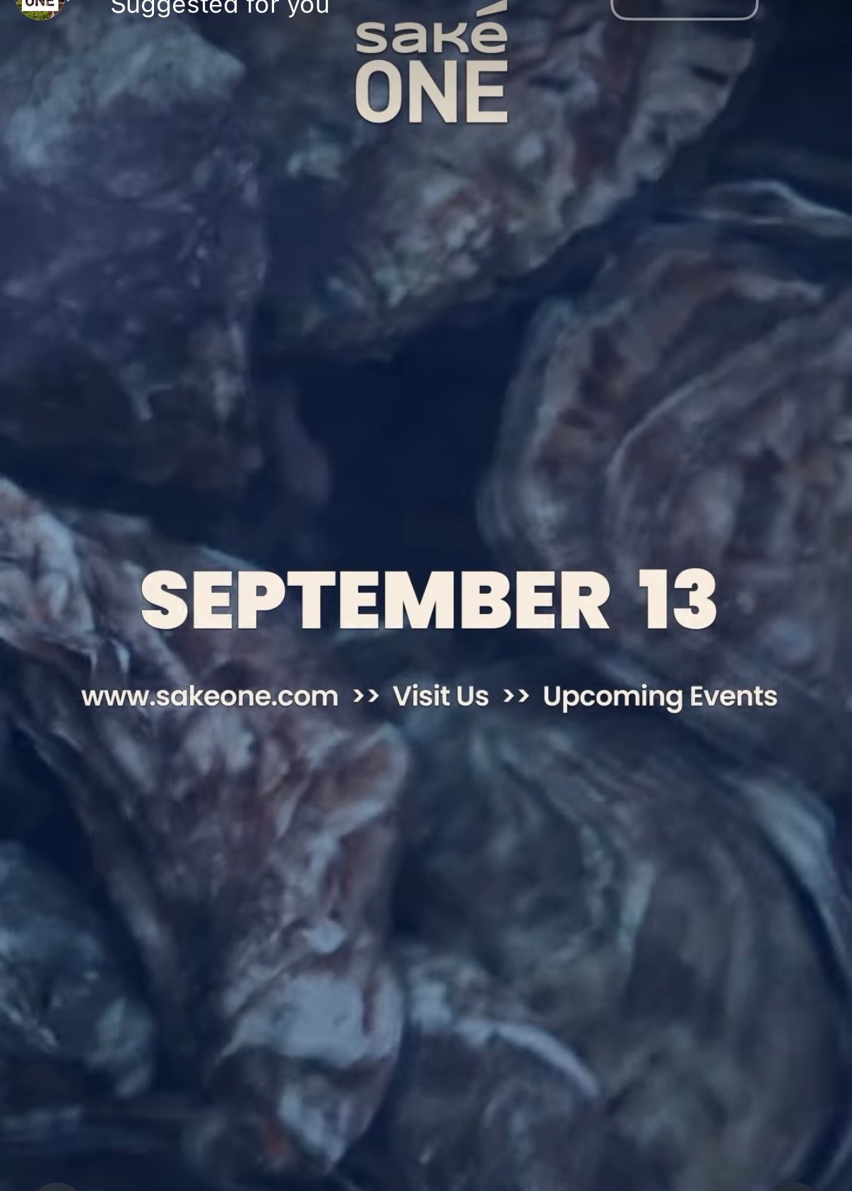 OysterFest 2026 cover