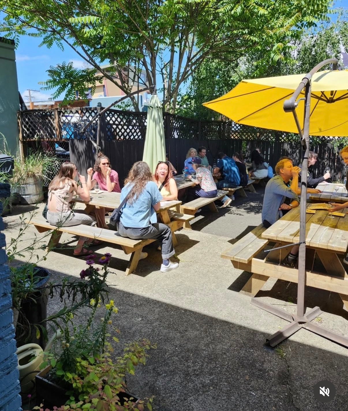 Pintxos on the Patio with Marqués de Cáceres Rioja cover