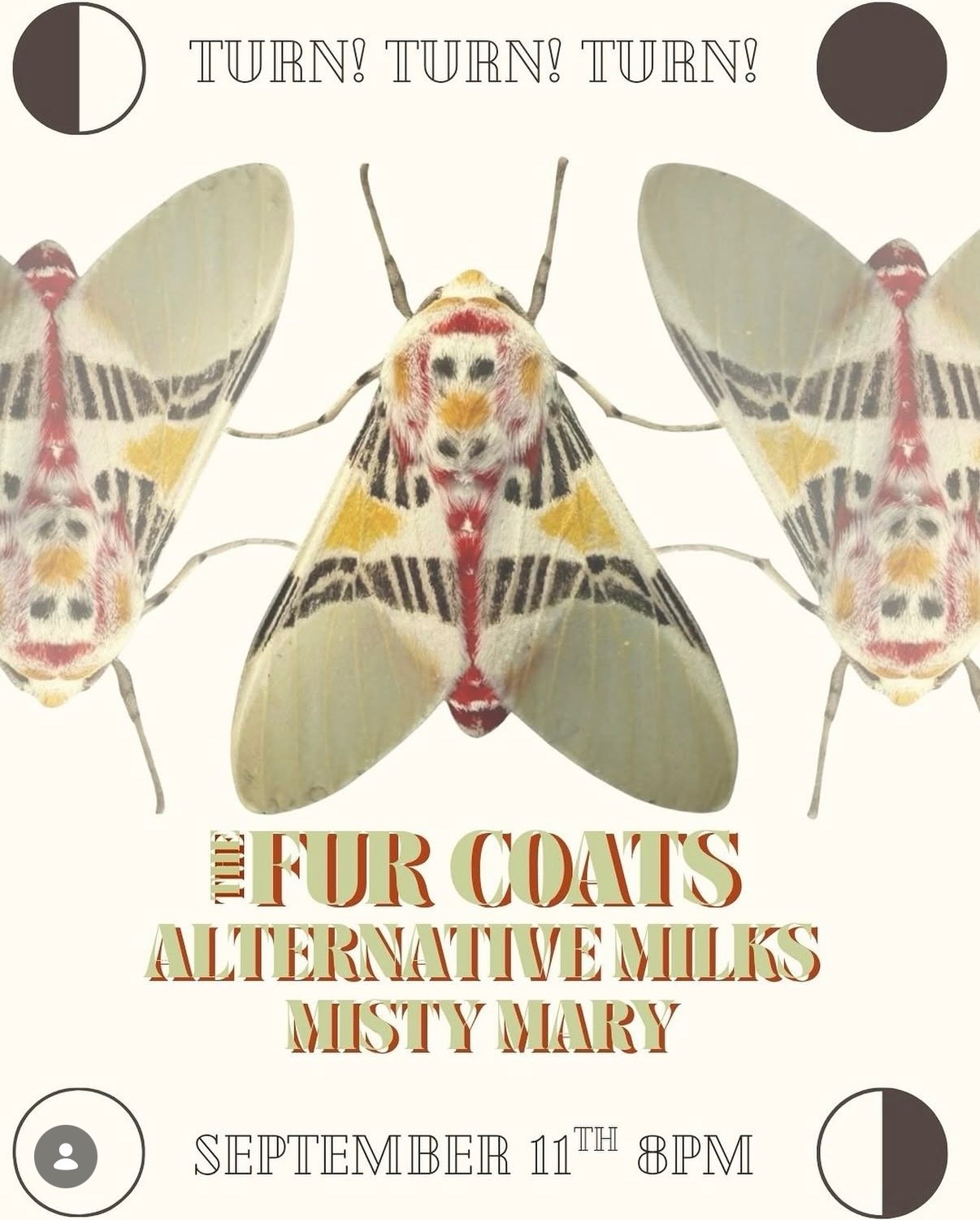 The Fur Coats, Alternative Milks & Misty Mary at Turn! Turn! Turn! cover